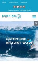 Screenshot Mobile Surfing (screenshot mobile)