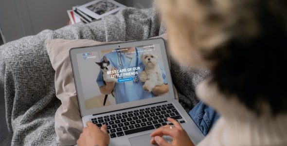Veterinary Clinic (WpMania)