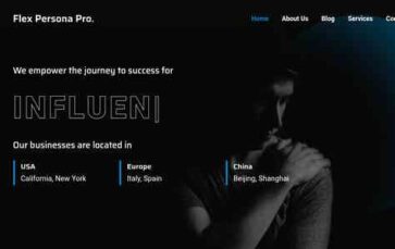 Flex Persona Pro (screenshot desktop)
