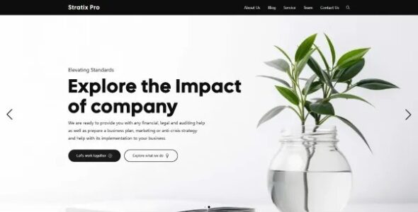 Stratix Pro (wpOpus)