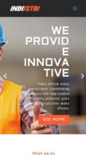 Divi Industry (screenshot mobile)