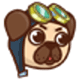 Author Icon
