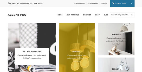Accent Pro (WPStudio)