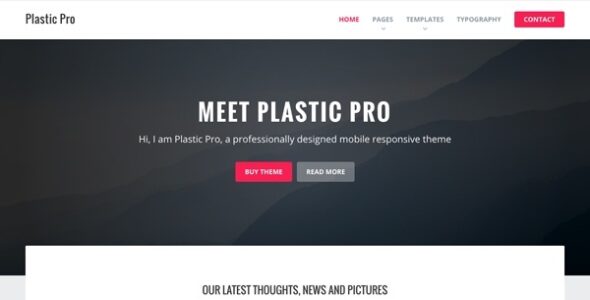 Plastic Pro (WPStudio)