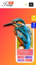 Zita Pro (screenshot mobile)