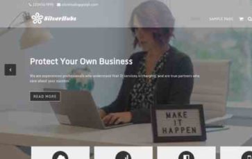 Silver Hubs Pro (screenshot desktop)