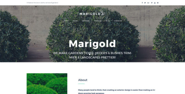 MariGold (YeahTheme)