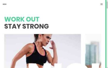 Nioh Studio (screenshot desktop)