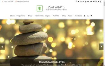 ZenEarthPro (screenshot desktop)