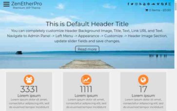 ZenEtherPro (screenshot desktop)