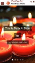 ZenFirePro (screenshot mobile)