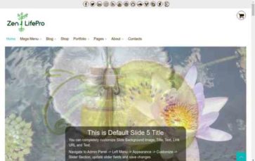ZenLifePro (screenshot desktop)