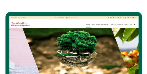 ZenWindPro (Zen Templates)