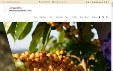 ZenWindPro (screenshot desktop)