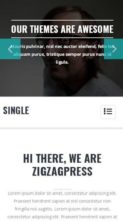 Single (screenshot mobile)