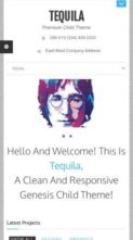 Screenshot Mobile Tequila (zigzagpress) (screenshot mobile)